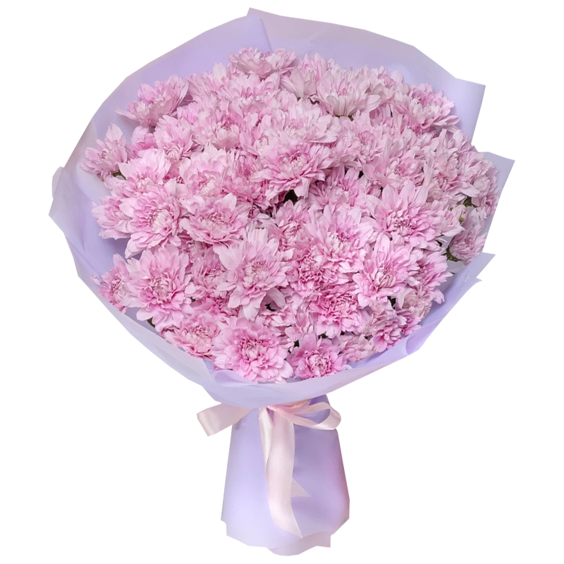 Букет из 15 розовых хризантем